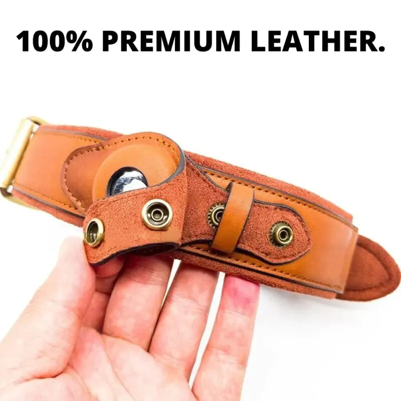 Anti-Lost Leather Dog Collar